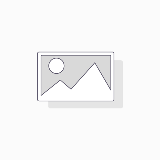 [67054] TERMINAL PREMIUM N°19 X100U (136)